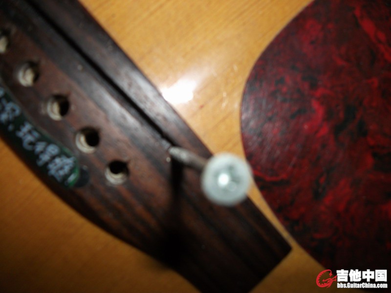 这货是螺丝钉~