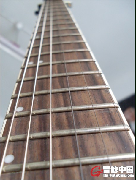 SDC10098.JPG