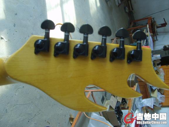 S6003443.JPG