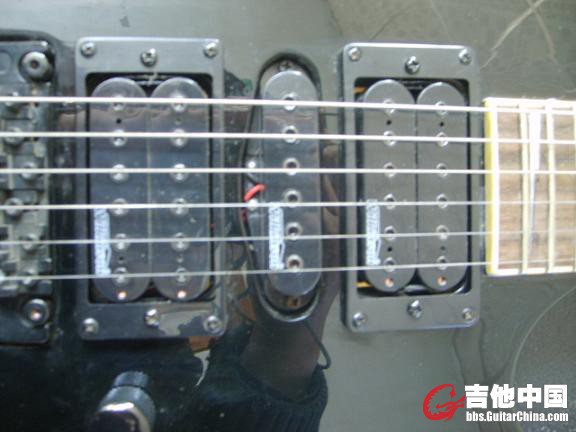 S6003440.JPG