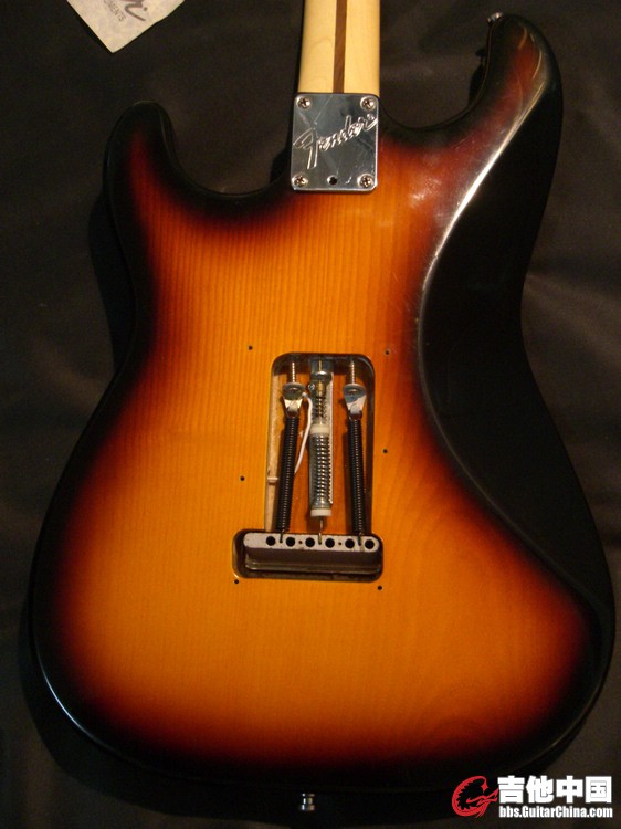 Fender USA  PLUS STRATO 010-7500 (5).jpg