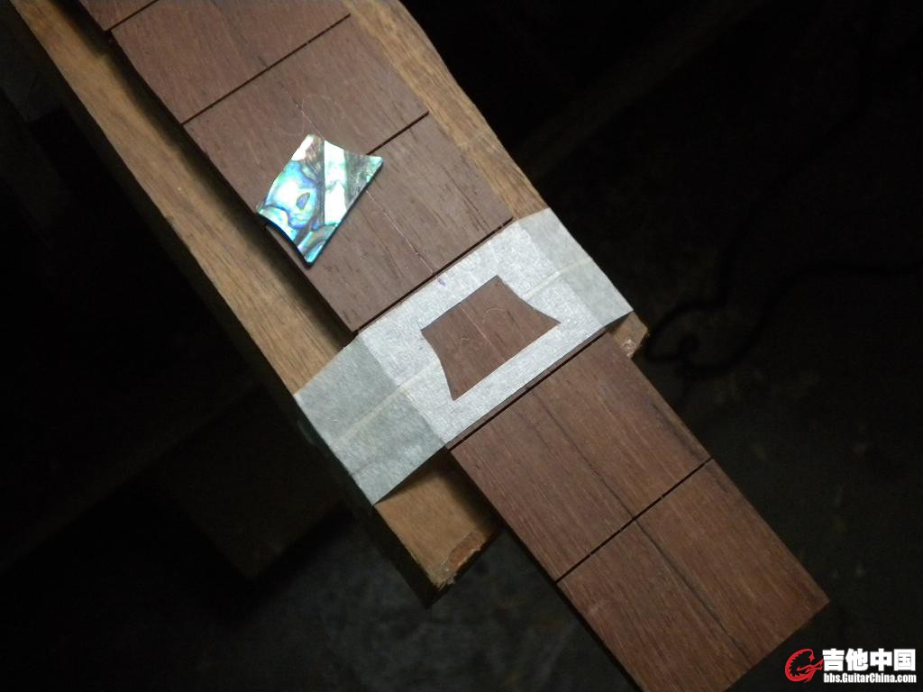 DSCN4187.jpg