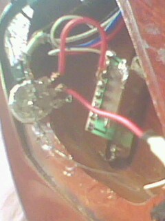 IMG0564A.jpg