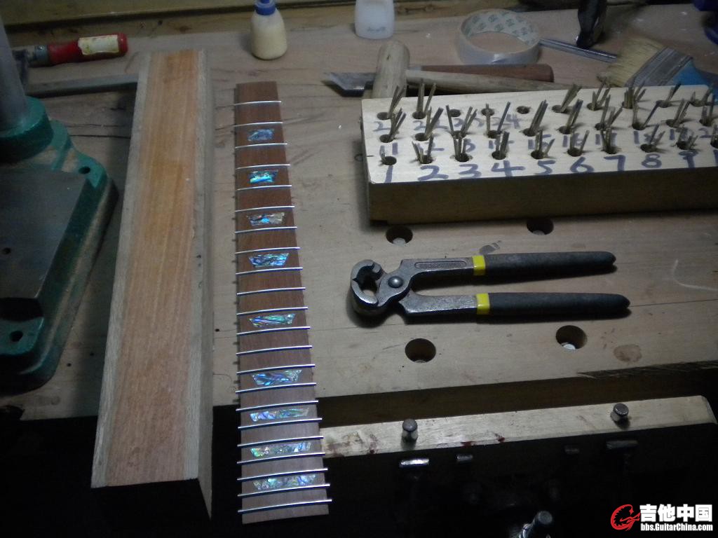 DSCN4227.jpg