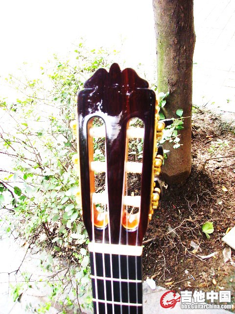 SSL29477.JPG