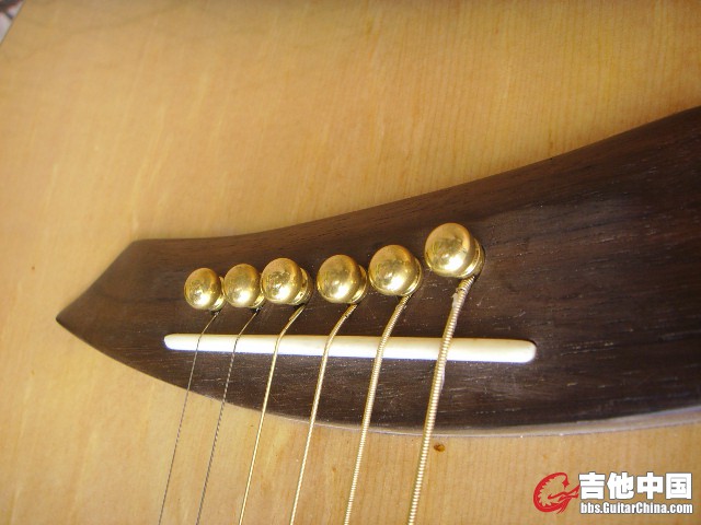 SSL29509.JPG