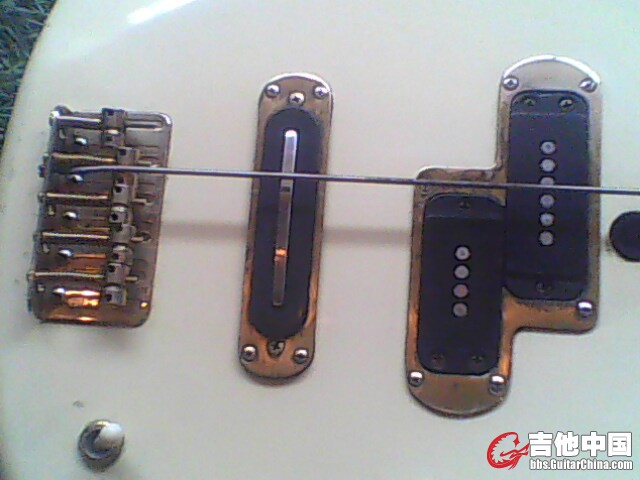 IMG0525A.jpg