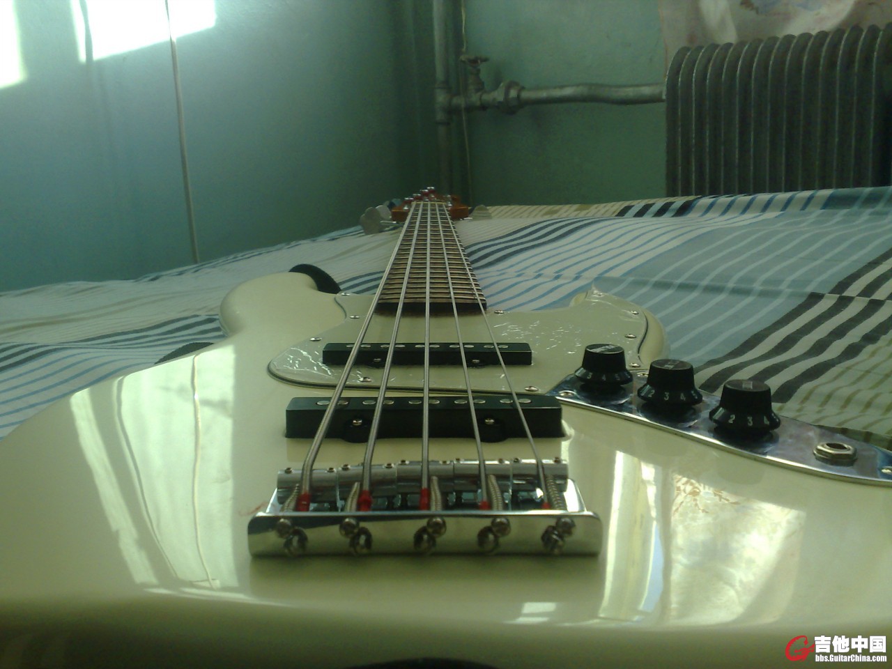20101211038.jpg