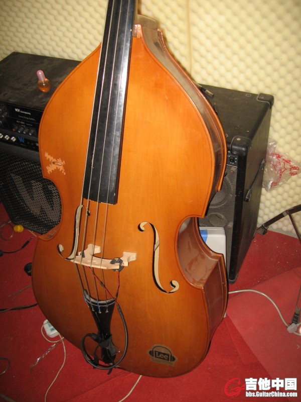 4897.jpg