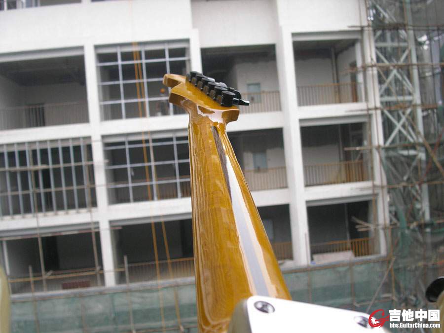 31.JPG