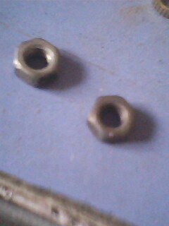 IMG1174A.jpg