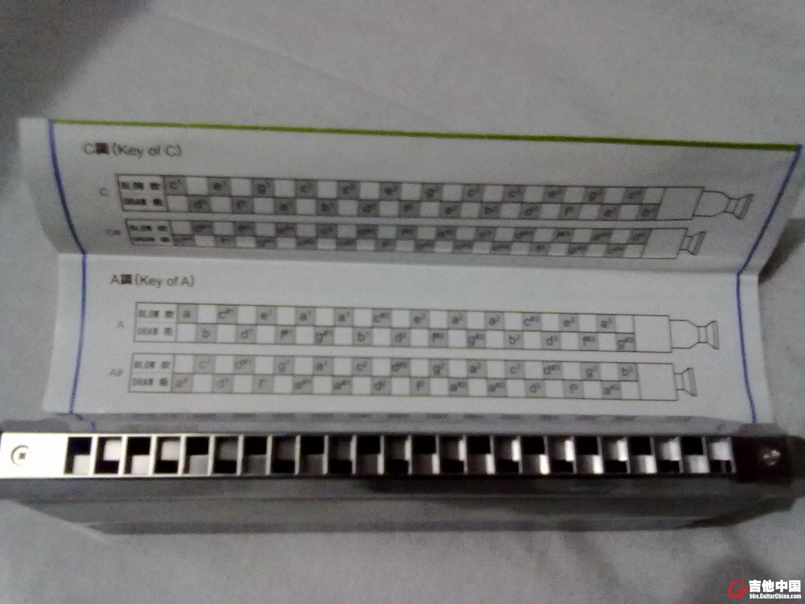 20101217093.jpg