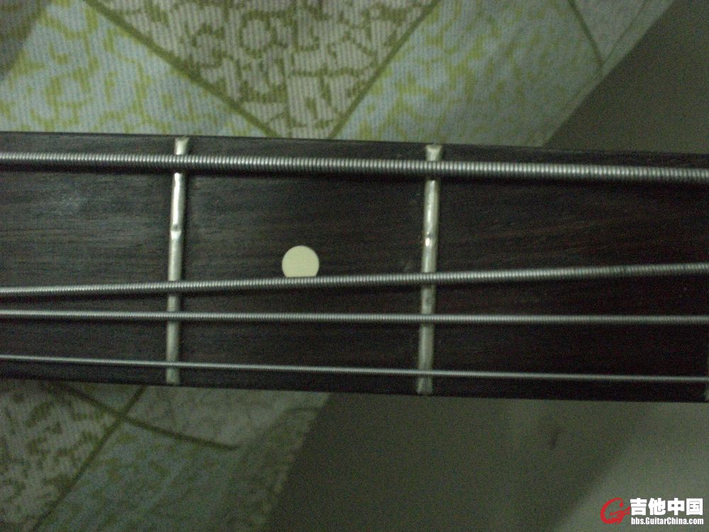 CIMG0011.JPG