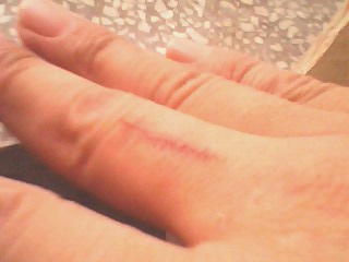 IMG1208A.jpg