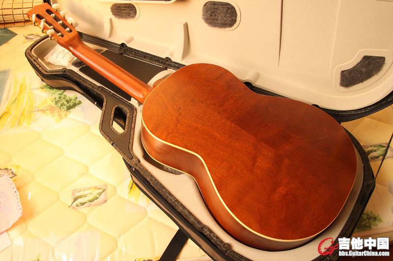 godin4.jpg