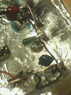 IMG1242A.jpg