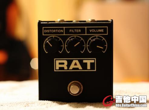RAT2 1.jpg