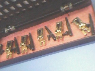 IMG1298A.jpg