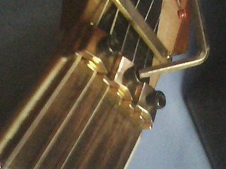 IMG1289A.jpg