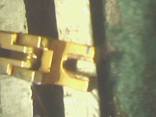 IMG1311A.jpg