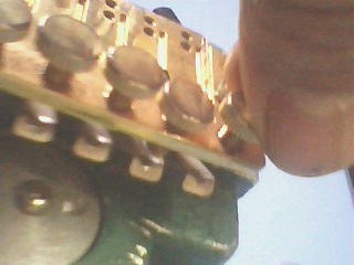 IMG1300A.jpg