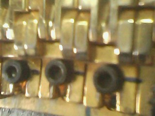 IMG1295A.jpg