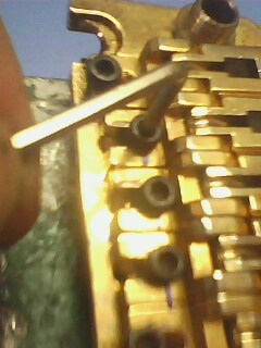 IMG1296A.jpg