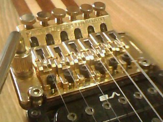 IMG1340A.jpg