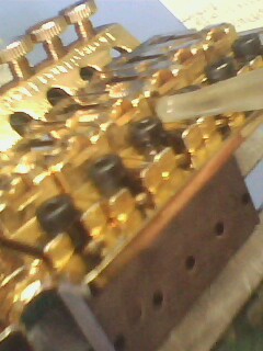 IMG1331A.jpg