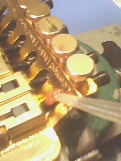 IMG1328A.jpg