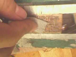 IMG1389A.jpg