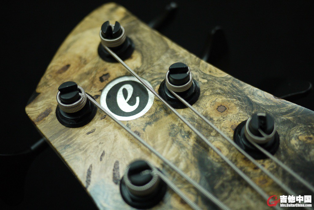 BASS5.jpg
