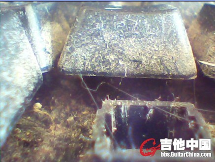 未命名.jpg