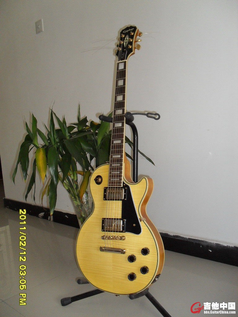 SDC11492.jpg