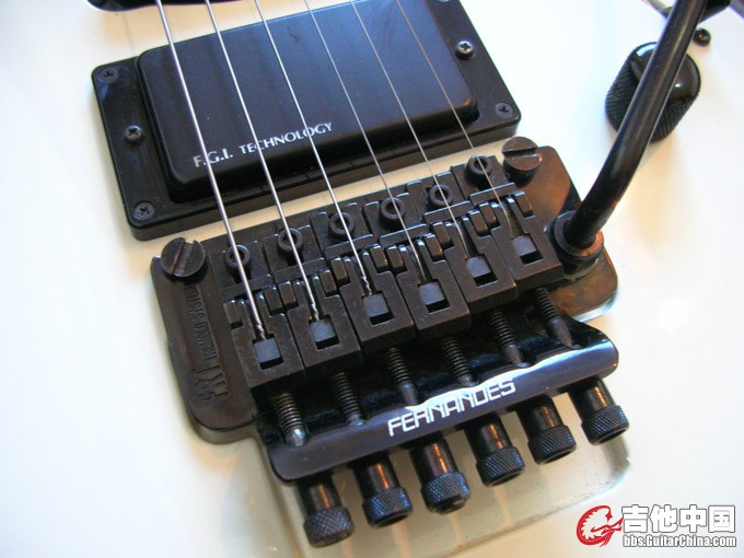 DSCN9568.jpg