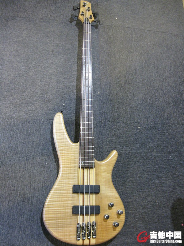SR1000-EFM.jpg