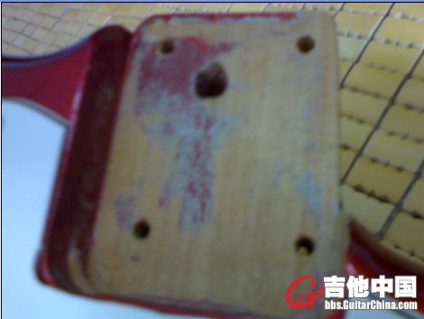 国产南洋木（贝壳杉）SQ图鉴.jpg