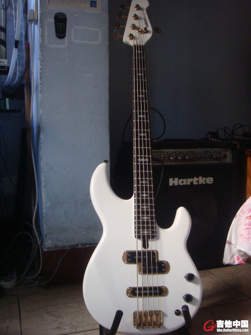 DSC04212.jpg
