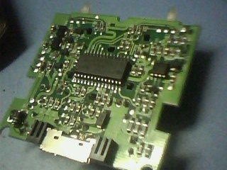 IMG1467A.jpg