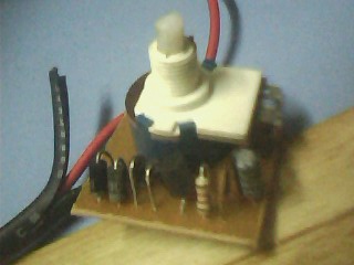 IMG1464A.jpg