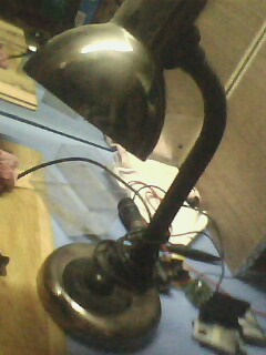 IMG1463A.jpg