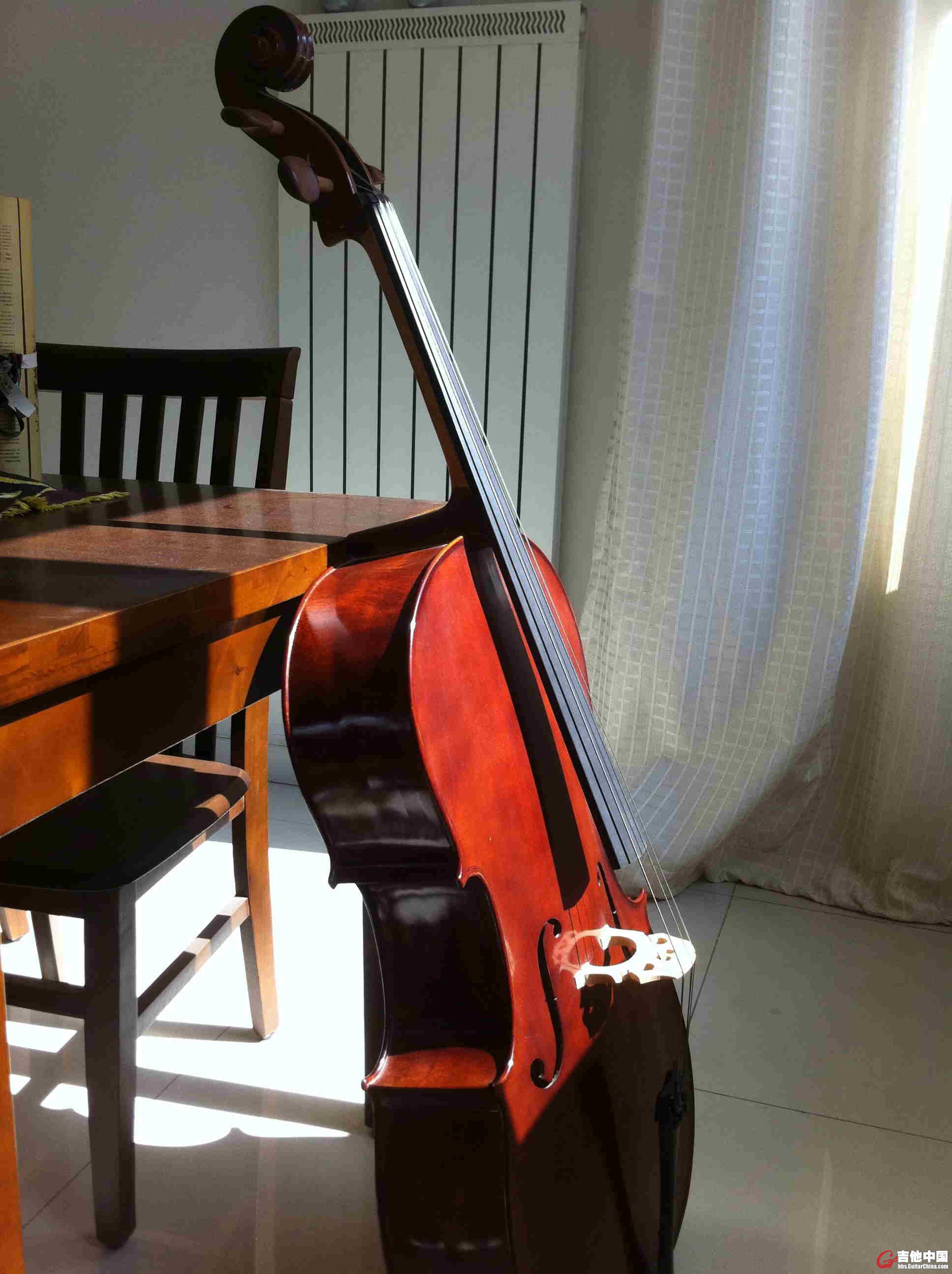 Cello3.JPG