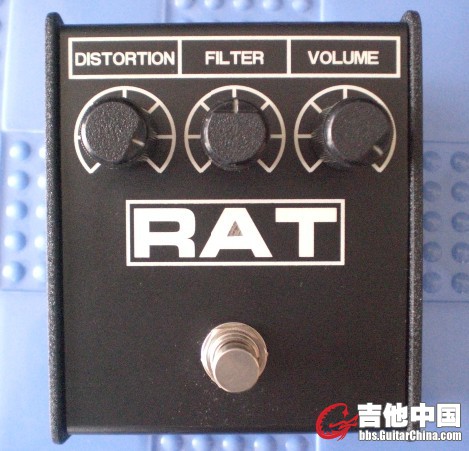 Rat2.jpg
