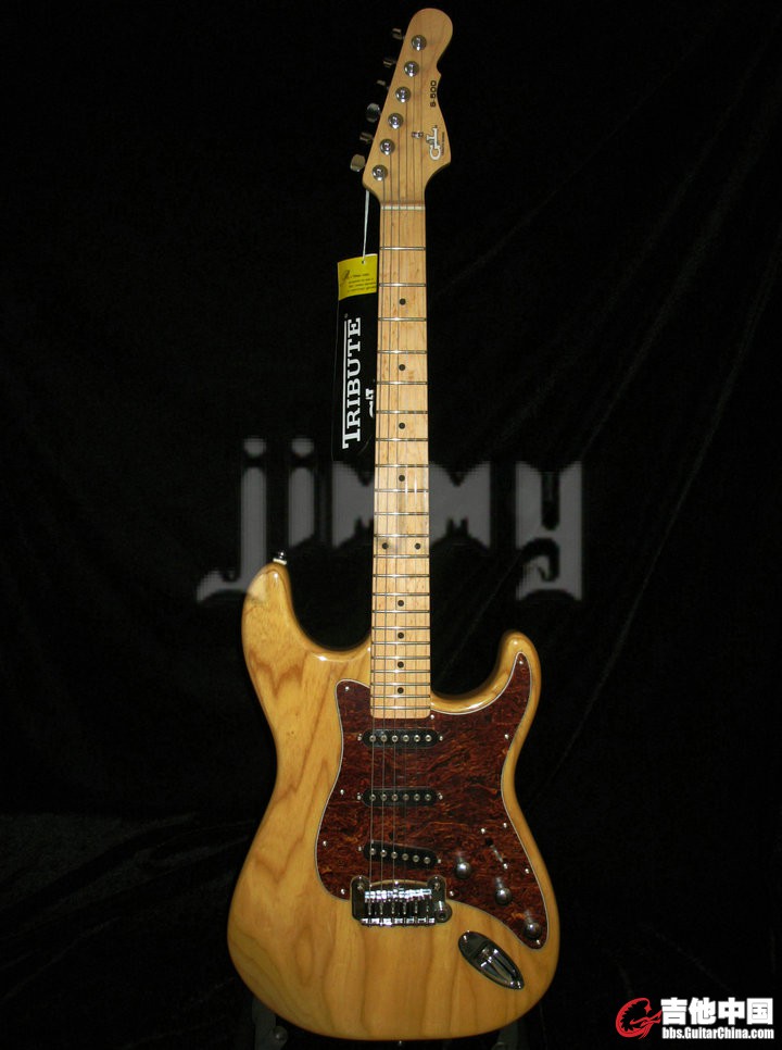 GL TRIBUTE S500 1.JPG