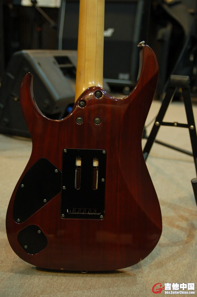 DSC_1381a.jpg