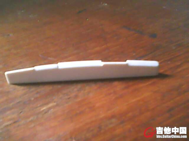 IMG0228A.jpg