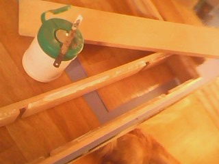 IMG1506A.jpg