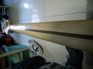 DSCN0517.JPG