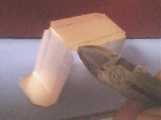 IMG1537A.jpg