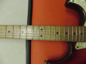 CIMG7059.JPG